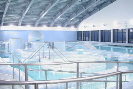 Thalassotherapy facility (deep sea water use pool) made of titanium handrail